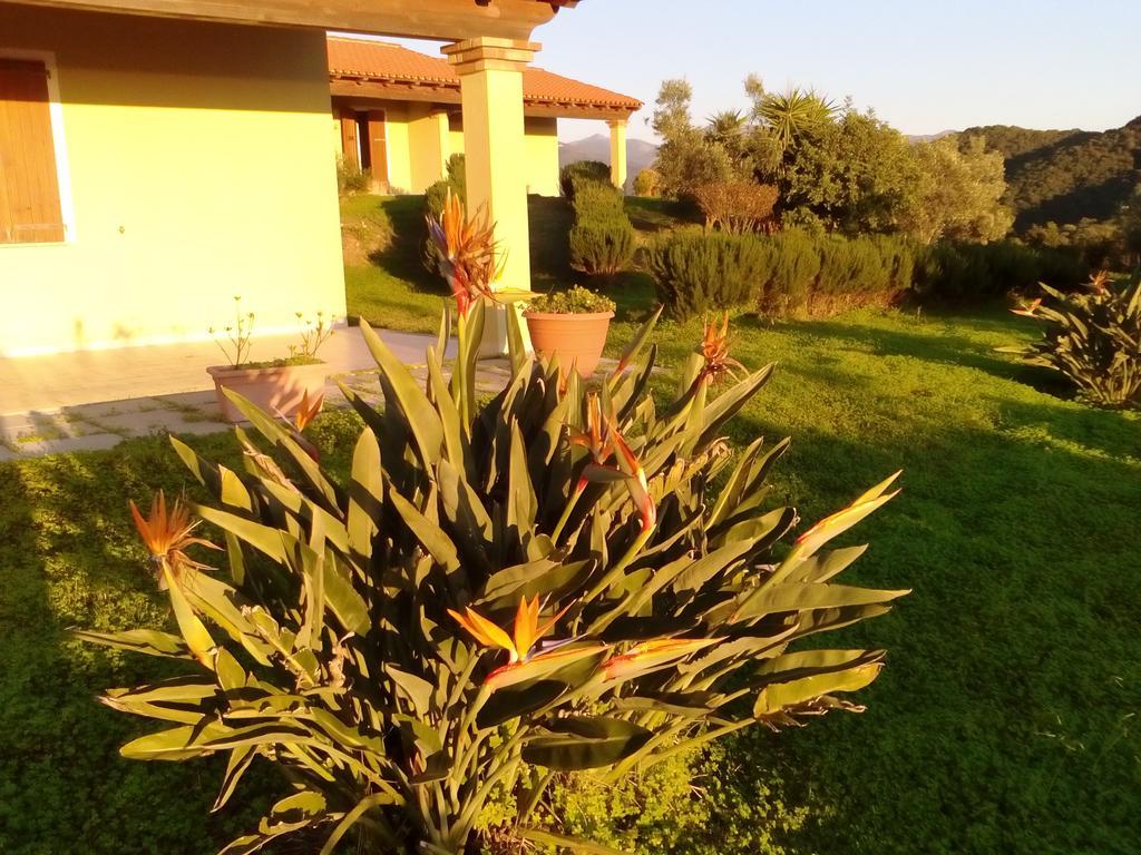 Majori Villa Fluminimaggiore Exterior foto